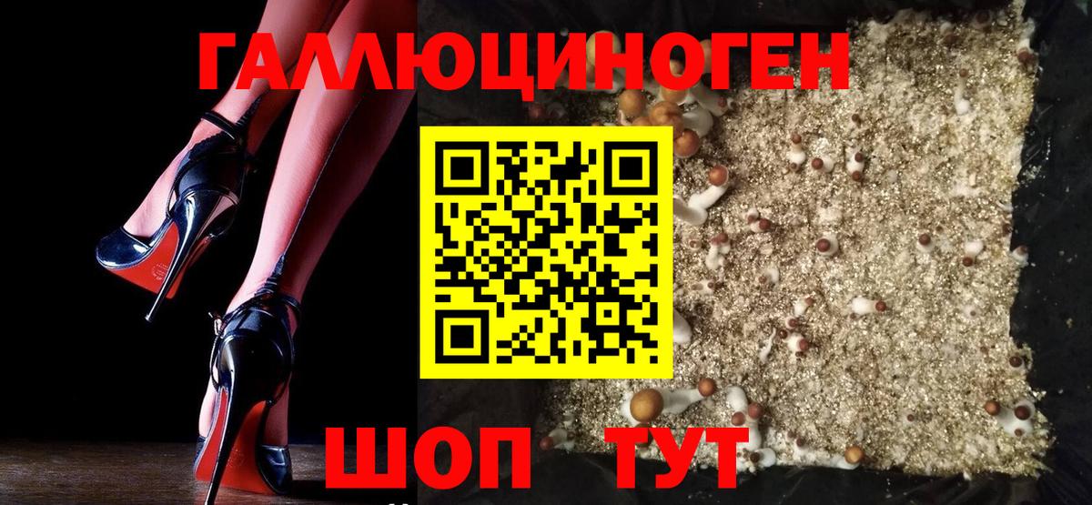 Псилоцибиновые грибы Psilocybe Королёв