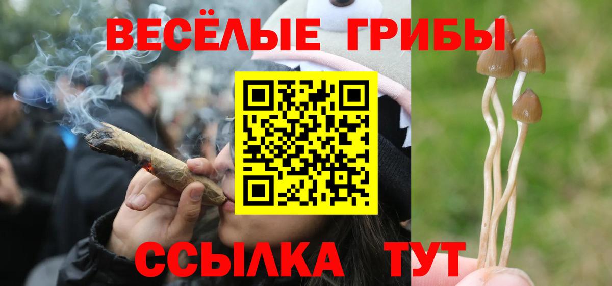 Галлюциногенные грибы прущие грибы  Вход с VPN  Галлюциногенные грибы мухоморы  Королёв 